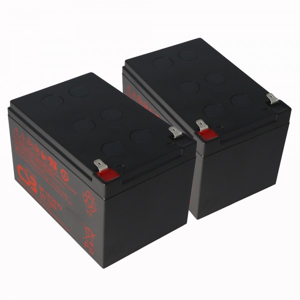 2 Stück Ersatz-Akku passend für APC RBC6 passend für APC Smart UPS 700, 1000, 1500 & Back UPS Pro 1000 (Maße (LxBxH): 151x98x94mm, Gewicht: 3900 Gramm (3,9 Kg)