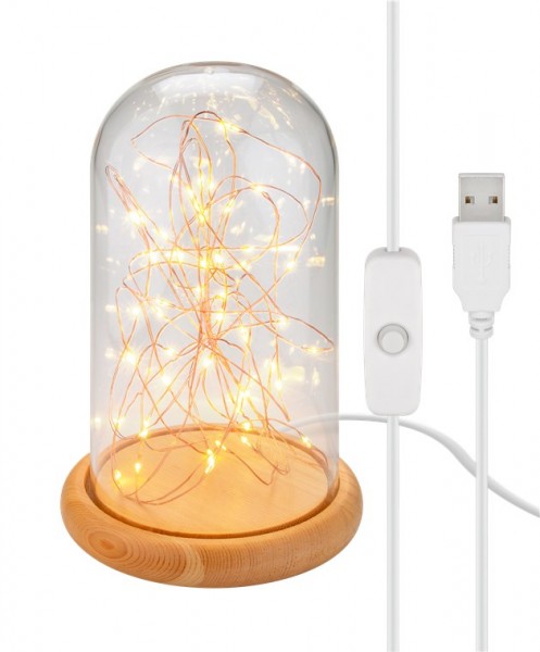 Goobay Glasglocke mit LED-Micro-Lichterkette - mit Holzsockel, USB-Kabel 115 cm, Lichterkette 5 m mit 50 Micro-LEDs in Warmweiß (2700 K) und Schalter (Ein/Aus)